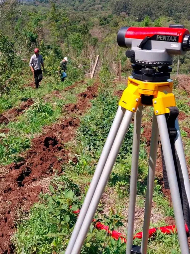 Recuperará áreas degradadas