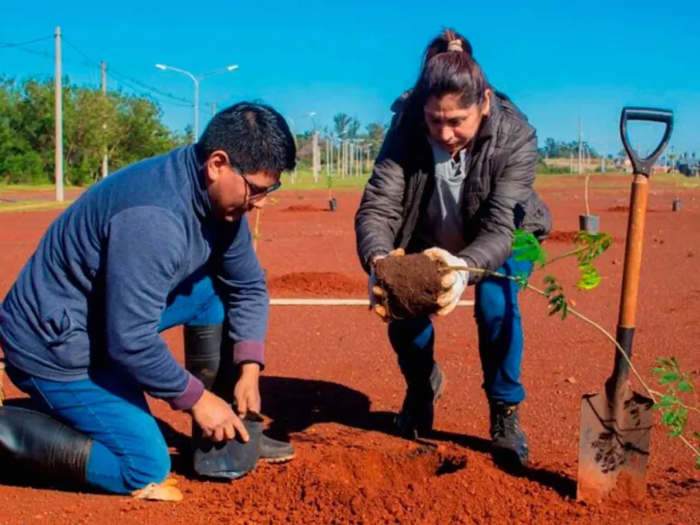 Para crear una hábitat saludable 