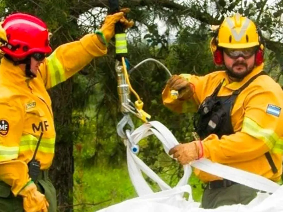 Para una respuesta inmediata y efectiva