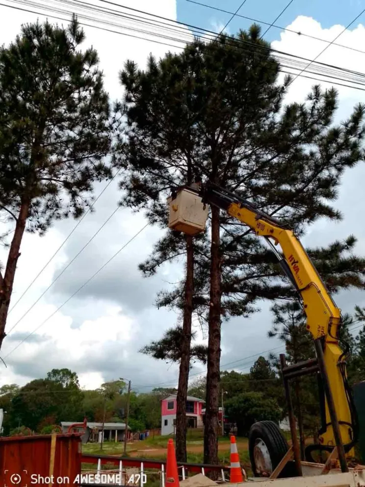 Tareas de limpieza y despeje de traza
