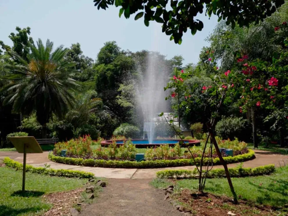 Realizarán un taller participativo