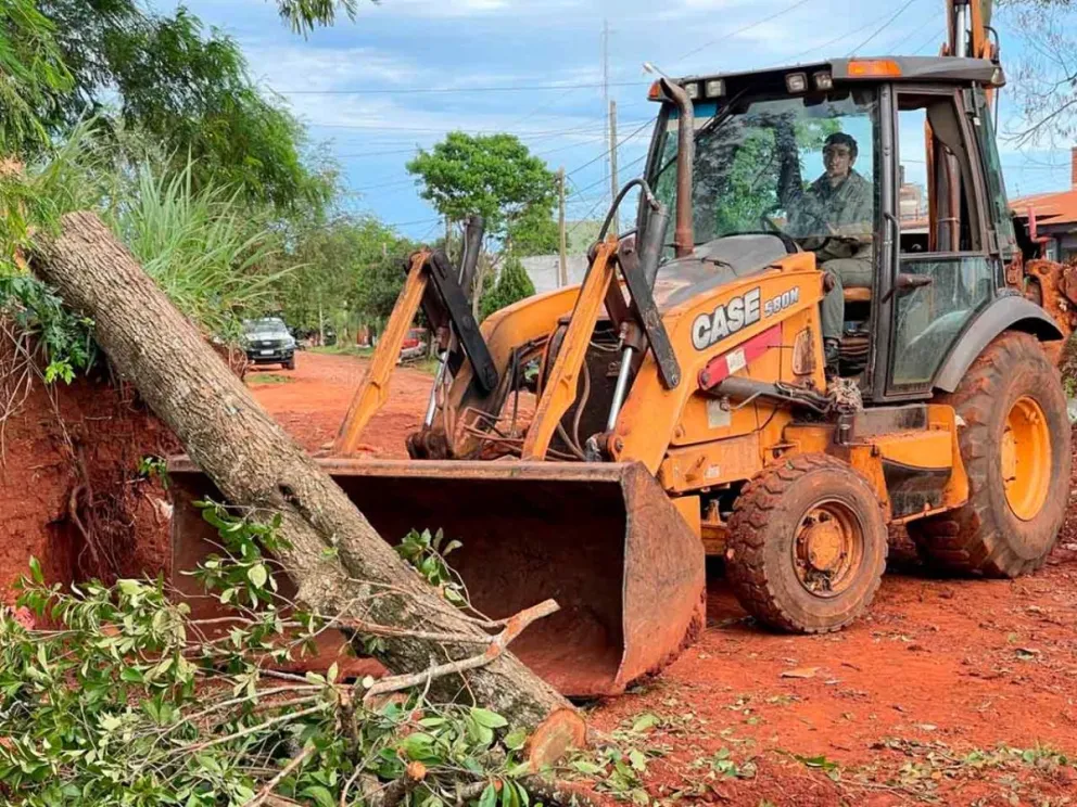 Tarea de limpieza y mantenimiento
