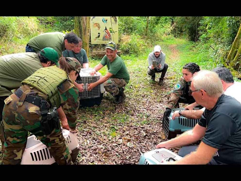 Compromiso con la conservación de la biodiversidad