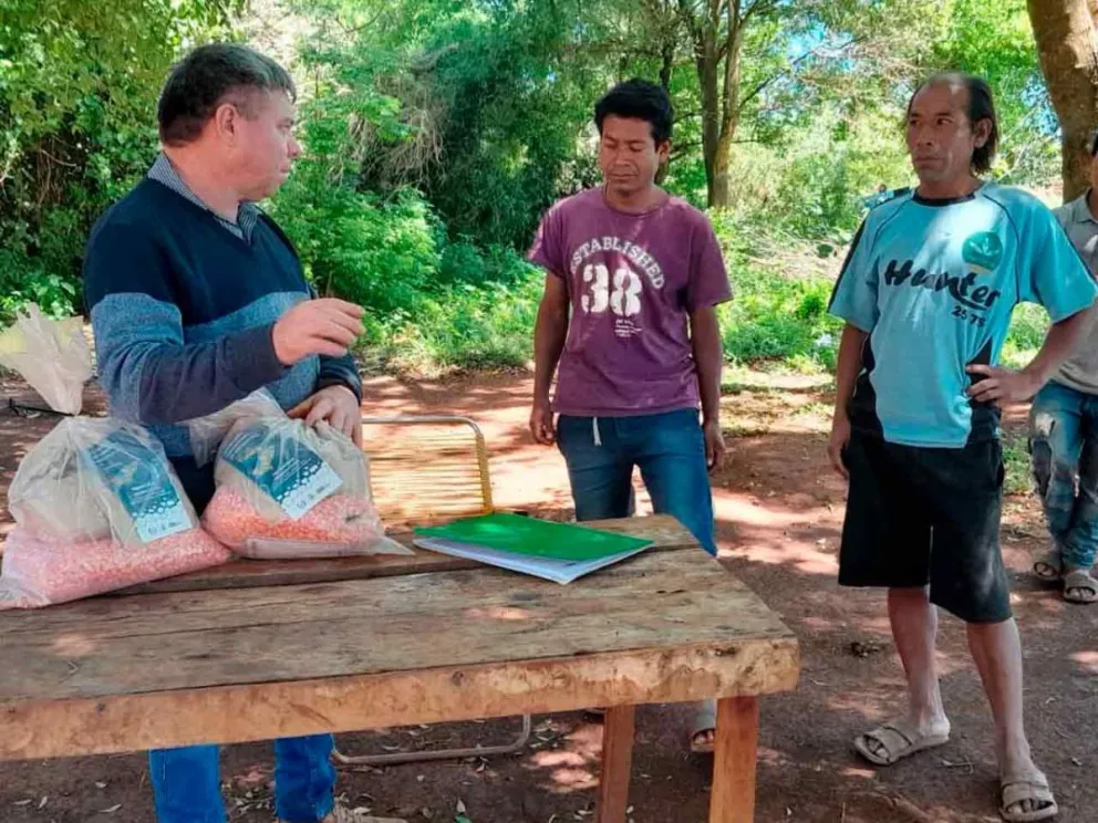 Apoyo a los pueblos originarios