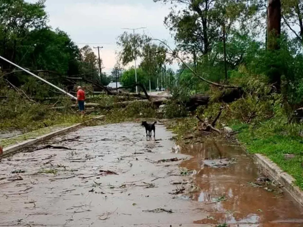 Las ráfagas de viento superaron los 90 km/h