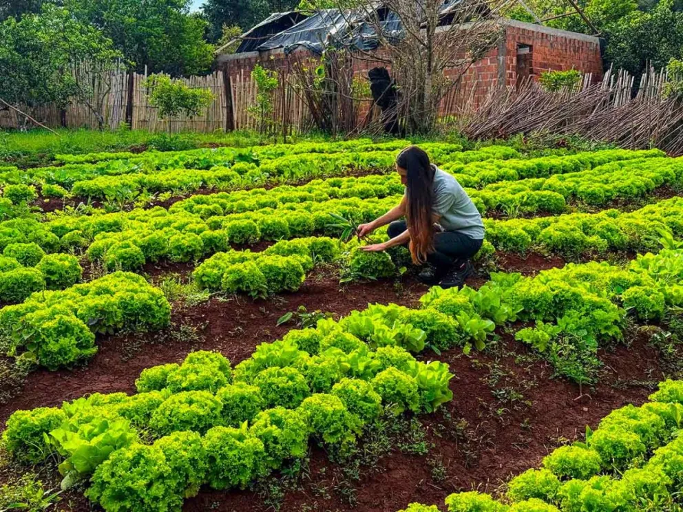 Desarrollaron una jornada de capacitación técnica