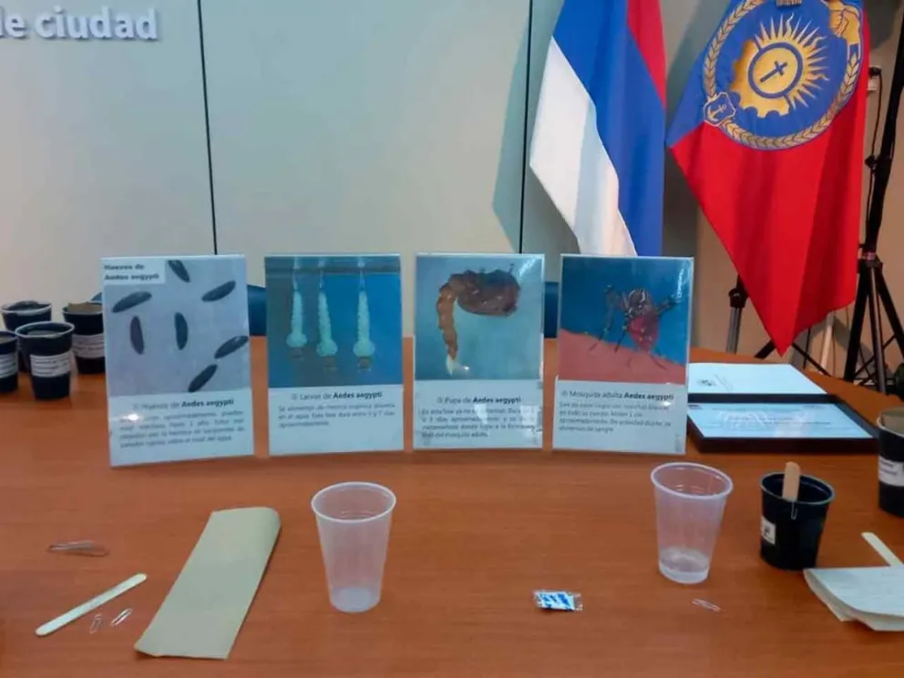 Avalada por el Consejo General de Educación