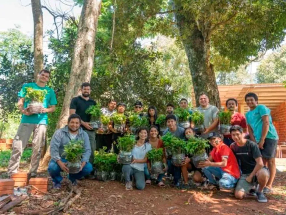Programa "Crece Selva Misionera"
