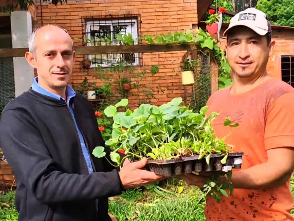 Entrega de bandejas de plantines 