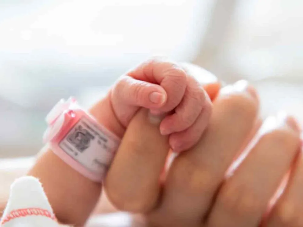 Realizarán diversas actividades