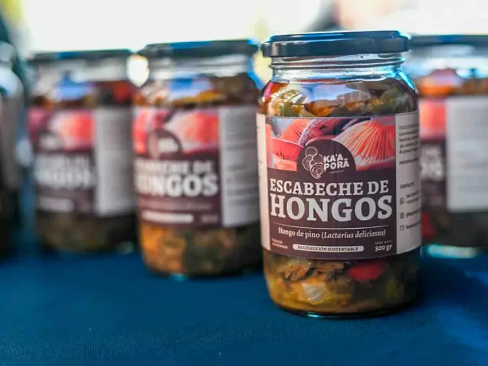 Brindarán herramientas de formación