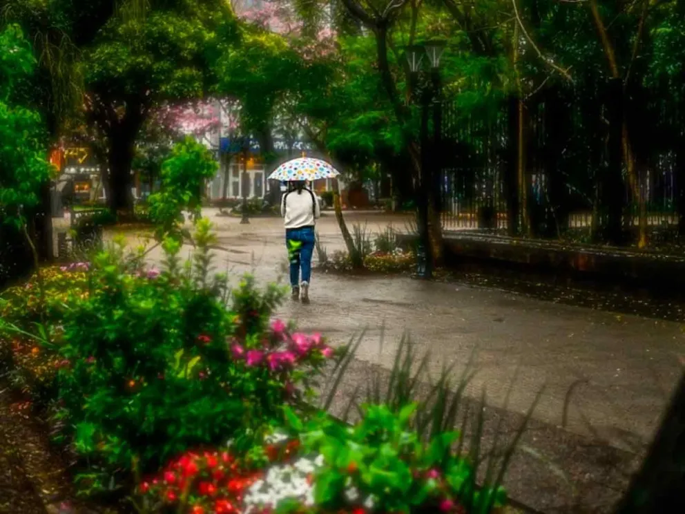 Informó Alerta Temprana