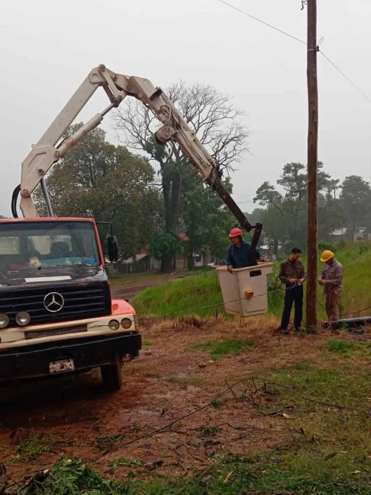 Despeje y seguridad de tendidos