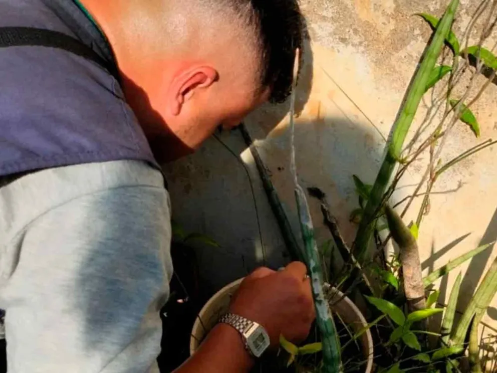 Inscripción abierta hasta el 12/11