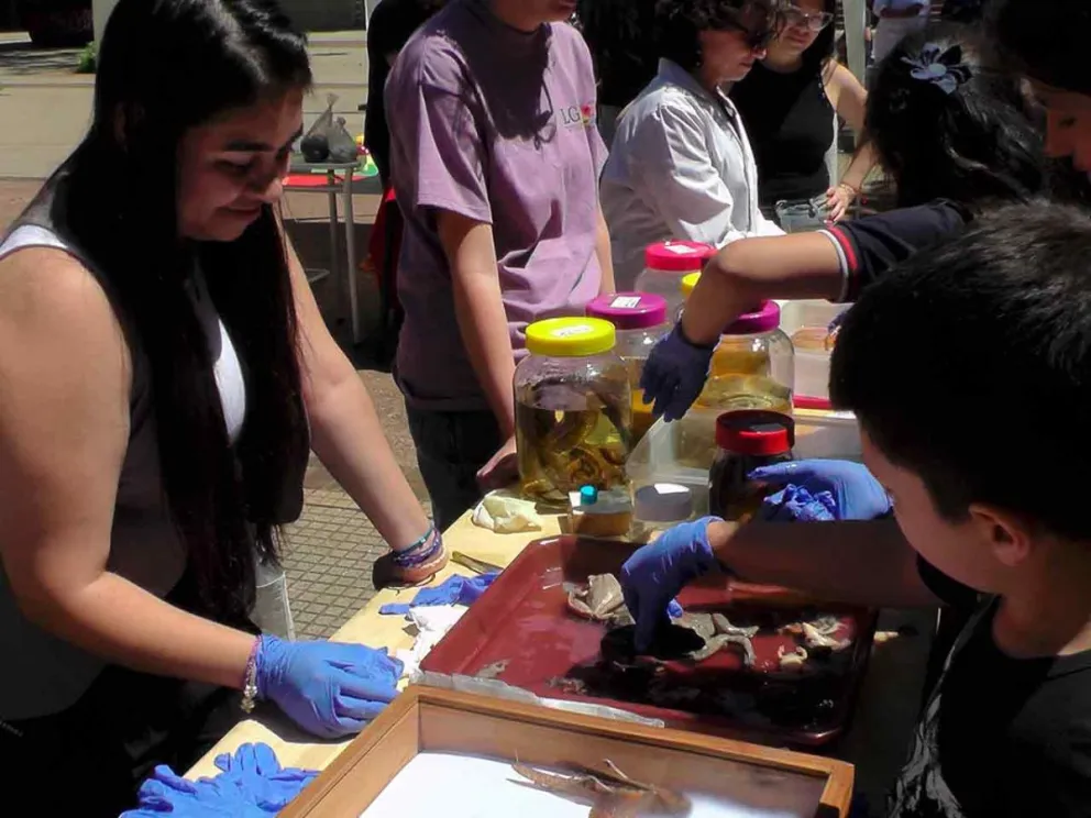 Exposición de trabajos de diferentes áreas