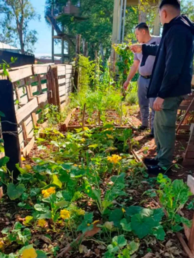 Aprendizaje sustentable y trabajo inclusivo 