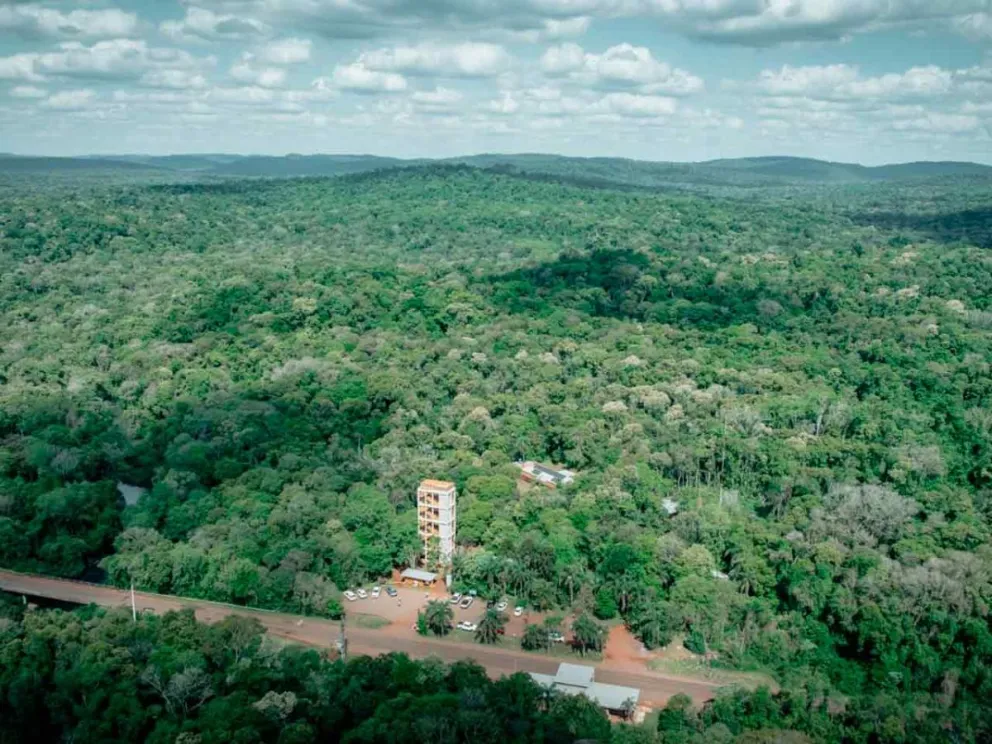 Obtuvo el 1º Premio en Paisajismo