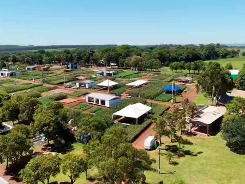 Se desarrollará del 2 al 6 de diciembre 