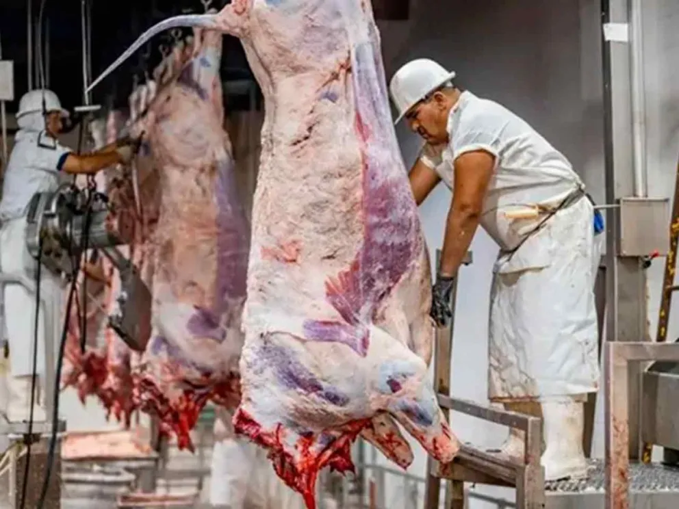 Se intensifica la crisis en el sector