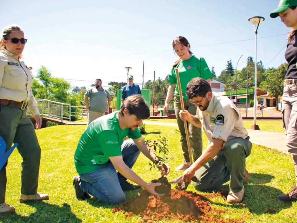 Apuntando a la educación ambiental