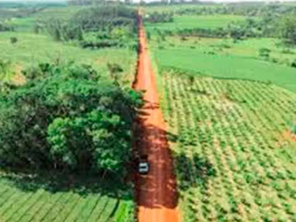 Ensanchamiento, limpieza y entoscado