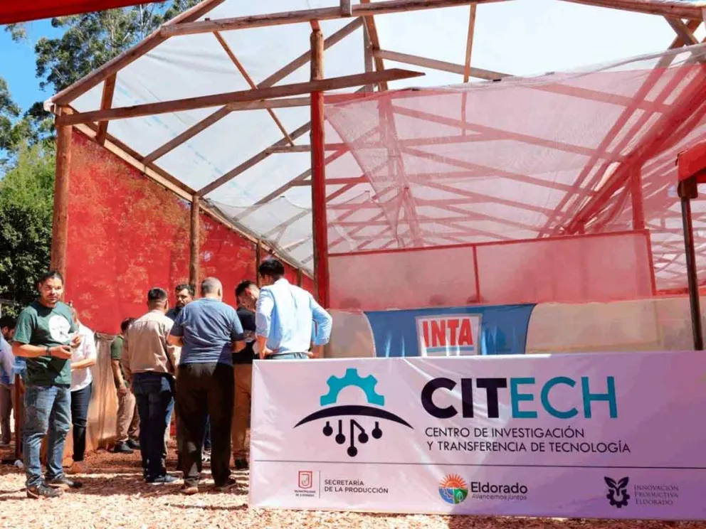 Buscan promover la innovación