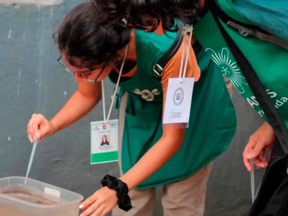 Visitarán unas 6.000 viviendas