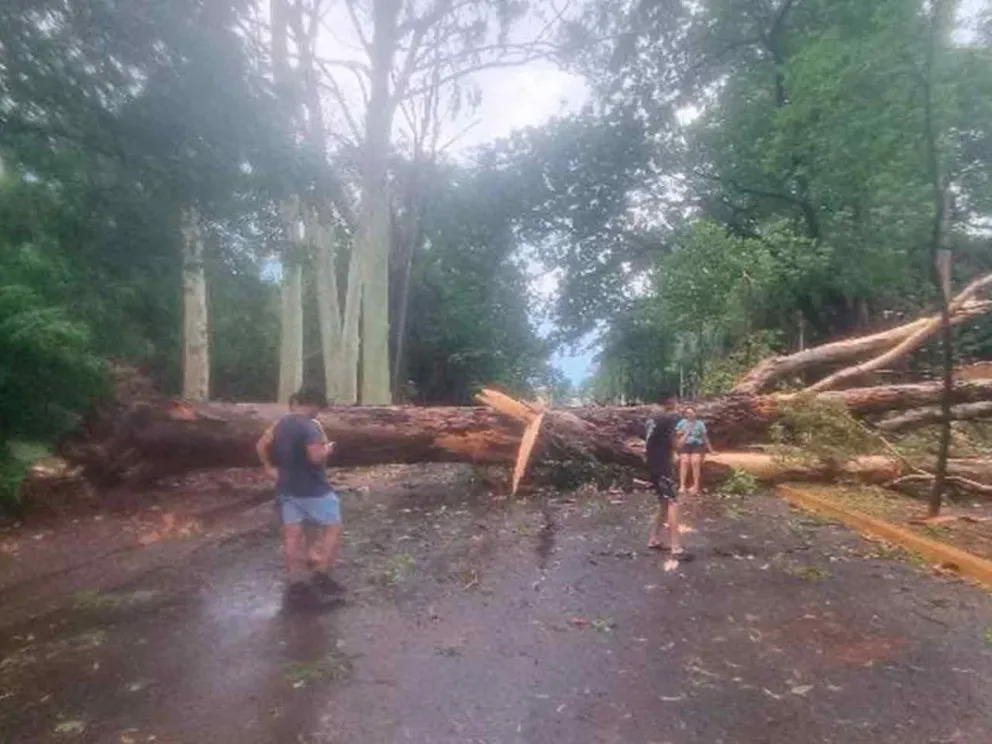 Se interrumpió el tránsito