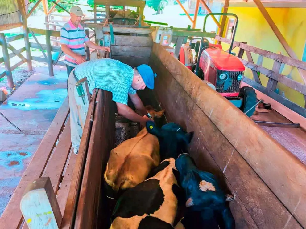 Un operativo clave para sostener el status sanitario