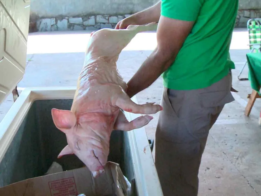 Anticipan demanda por las fiestas