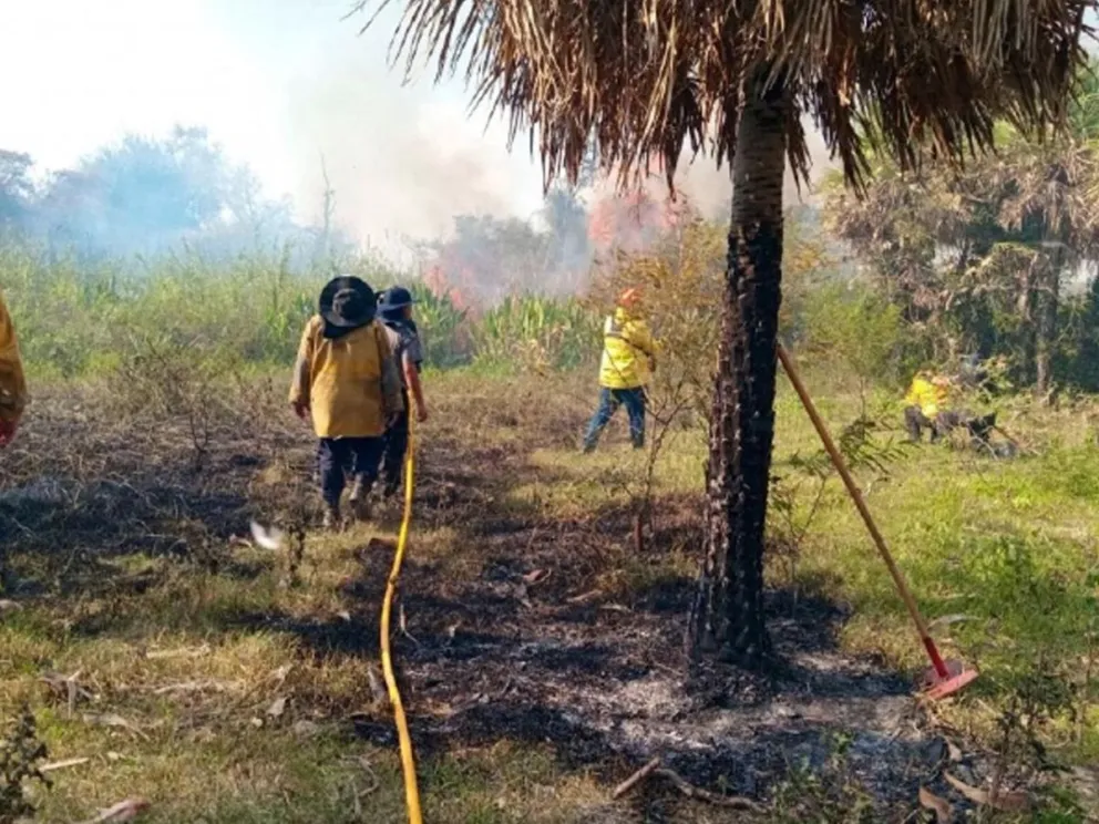 Según informe oficial