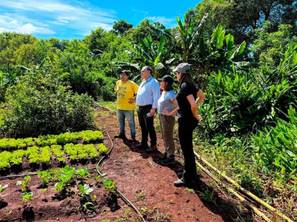 Para optimizar el riego y el cultivo