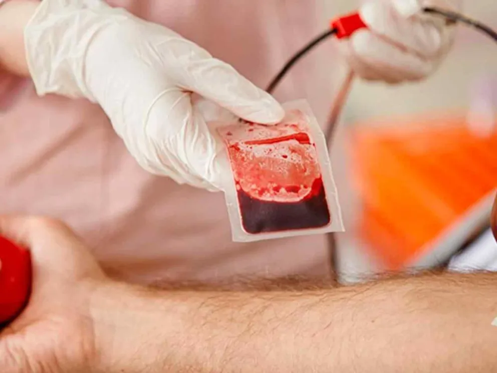 Durante todo el mes de diciembre