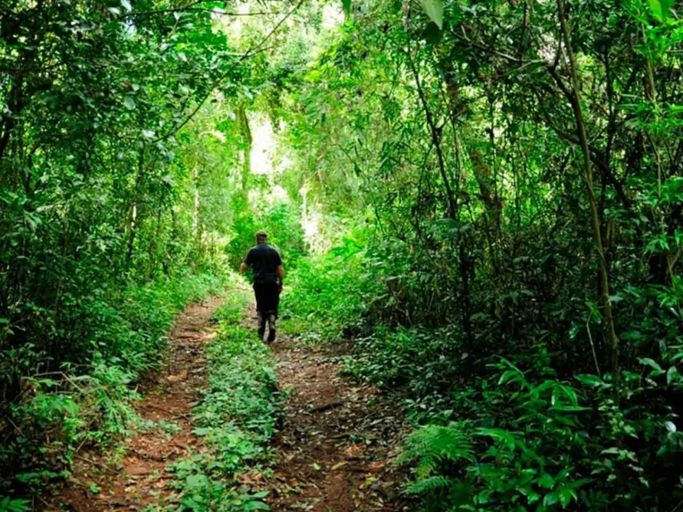 La expo se realizará  el miércoles en el Parque del Conocimiento 