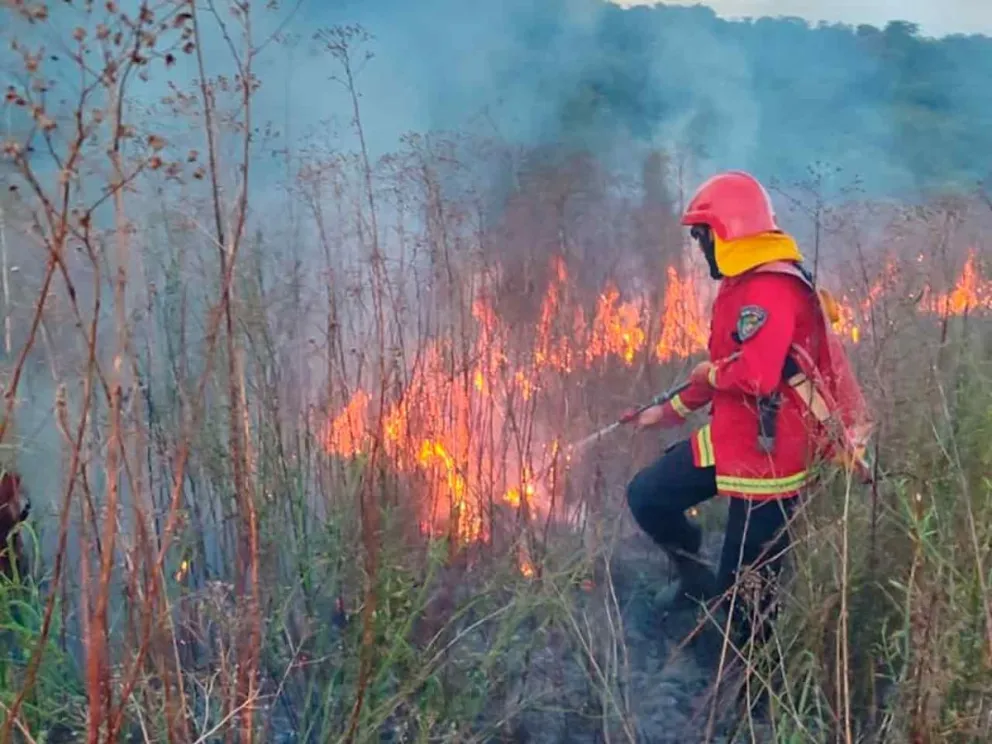 Informó Alerta Temprana