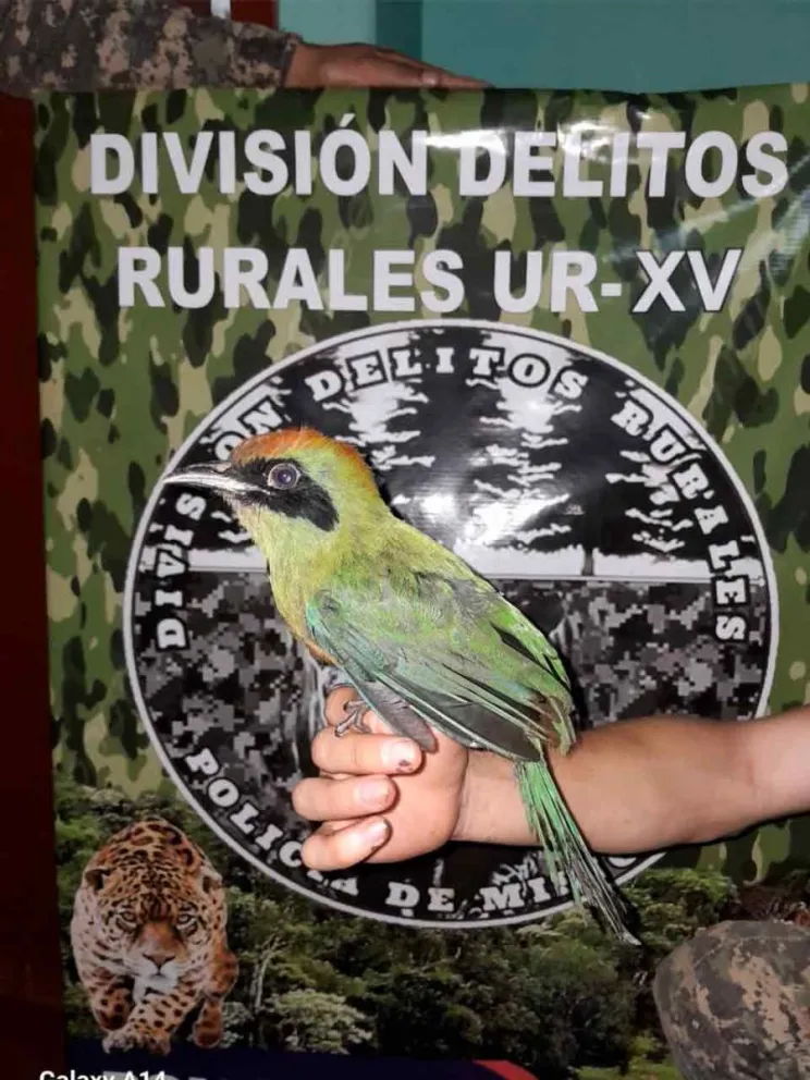 Fue trasladado a un centro especializado