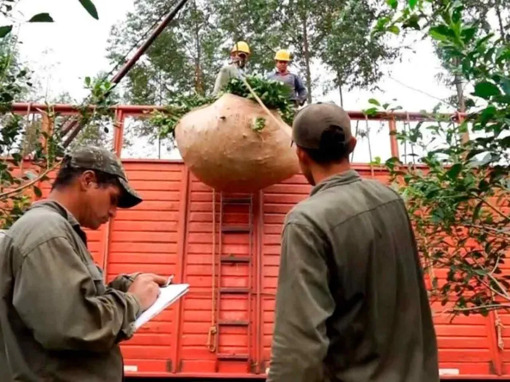 Por la necesidad de subsistencia