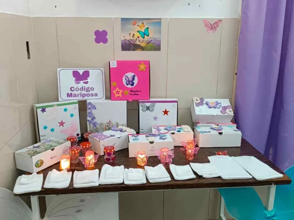 Entorno de contención para el duelo parental 