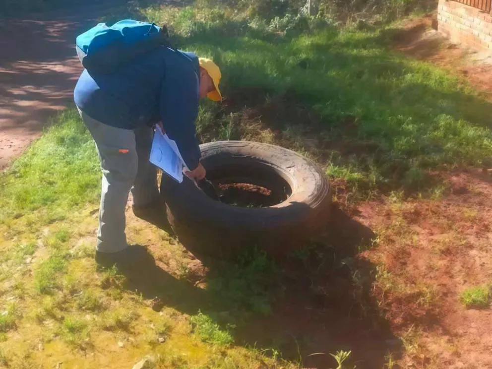 Eliminación de los criaderos 