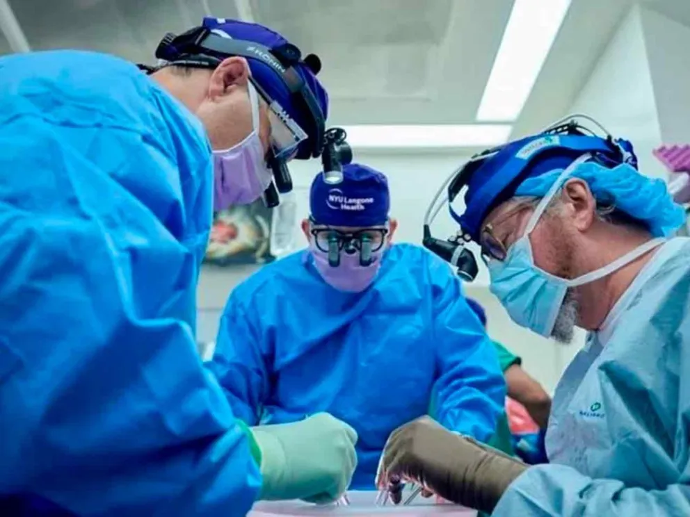 La Provincia superó las cifras registradas en 2024