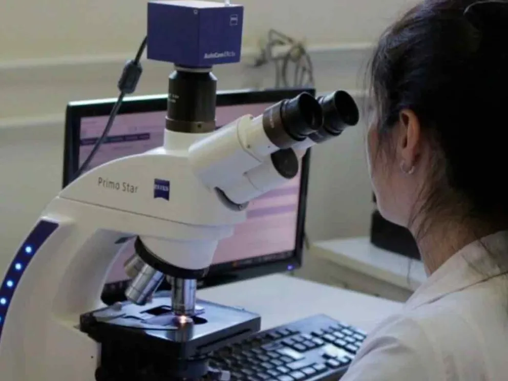 Profundizaron conceptos clave