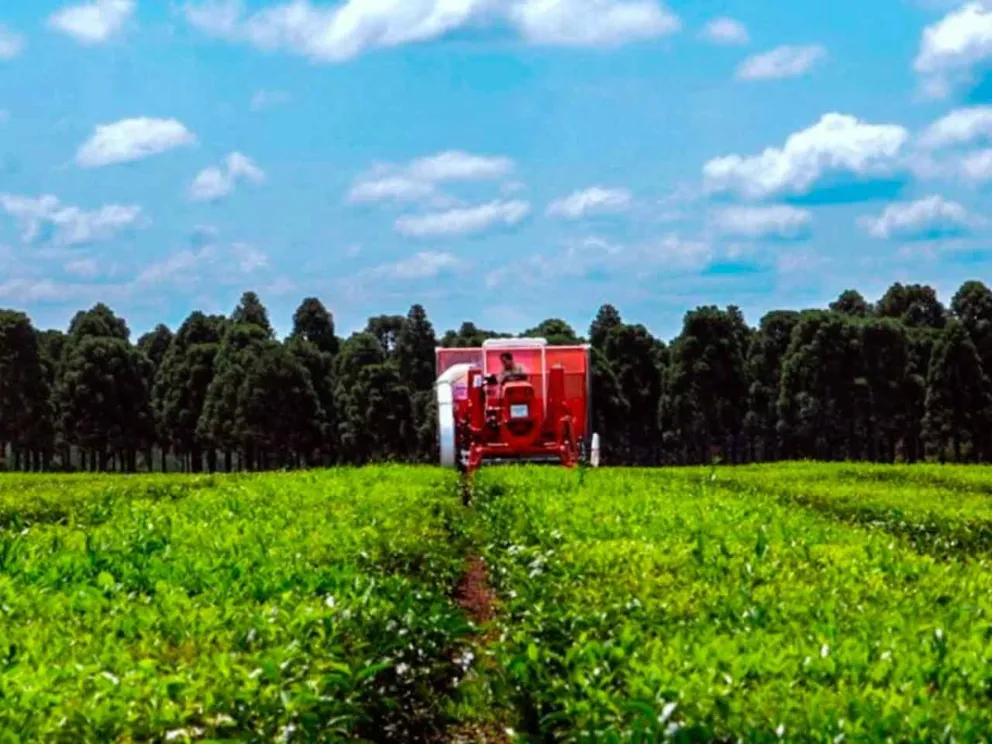 Acompañó a empresas misioneras