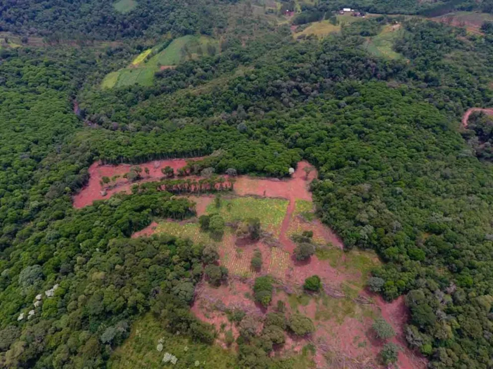Informó el Ministerio de Ecología