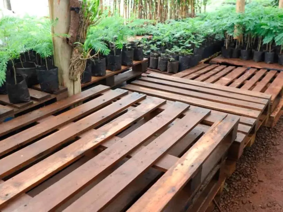 Recibió una  importante donación de palets de madera