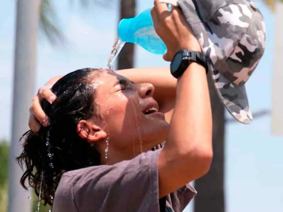 Reporte publicado por el ENRE