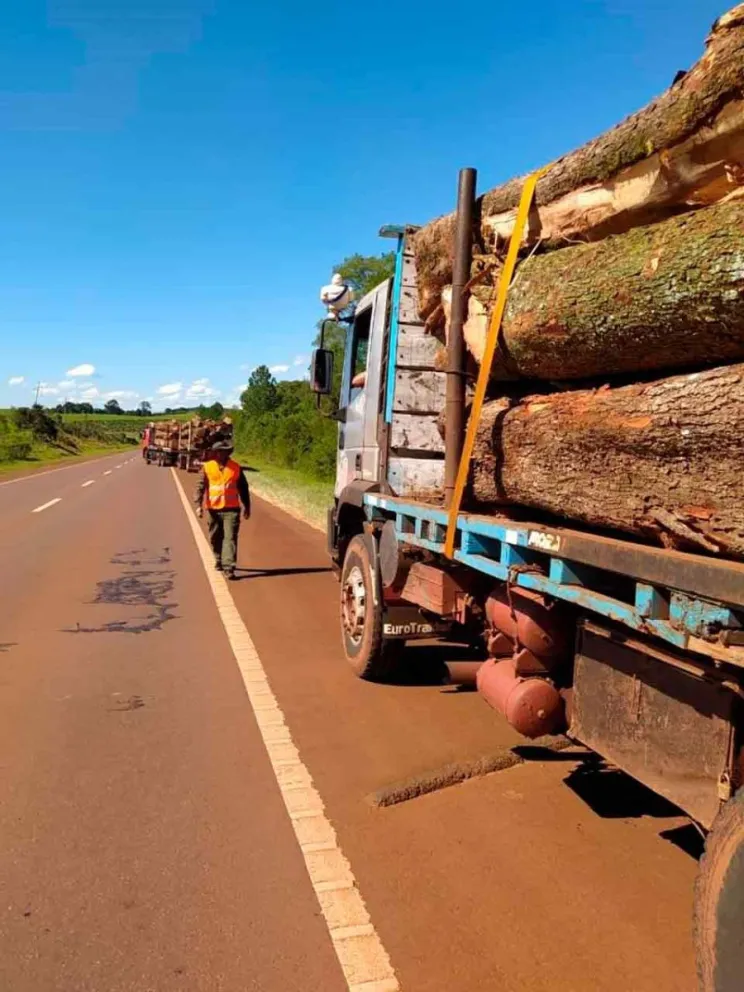 Actualiza la información en tiempo real