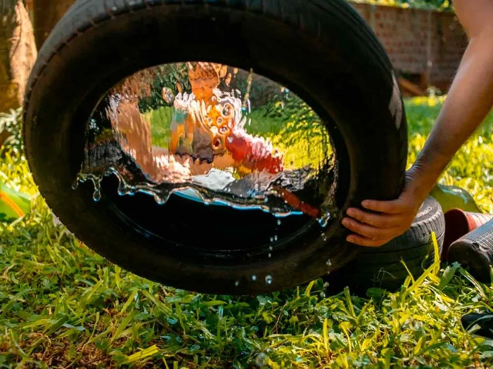 Para evitar la proliferación del mosquito