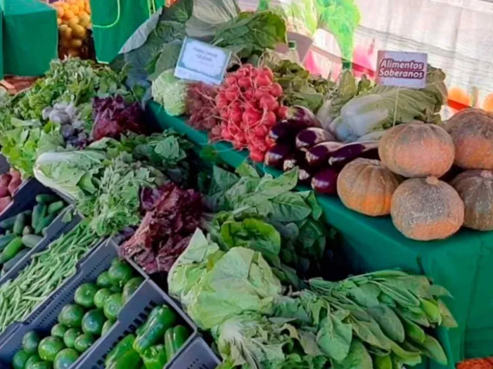 Alimentos orgánicos libres de agrotóxicos 