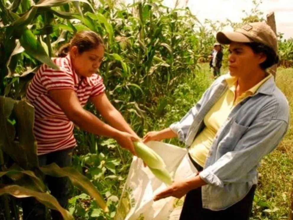 Destacan su protagonismo