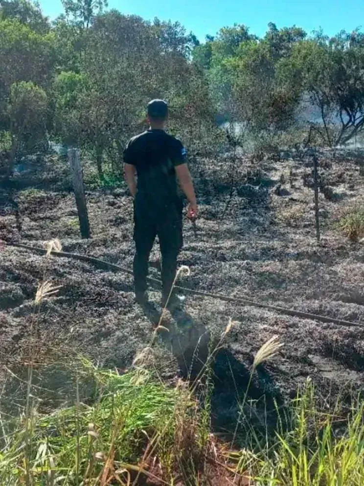 Rápido accionar de los bomberos